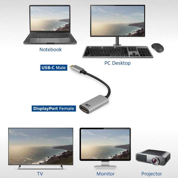 ACT AC7030 USB-C to DisplayPort 4K Silver