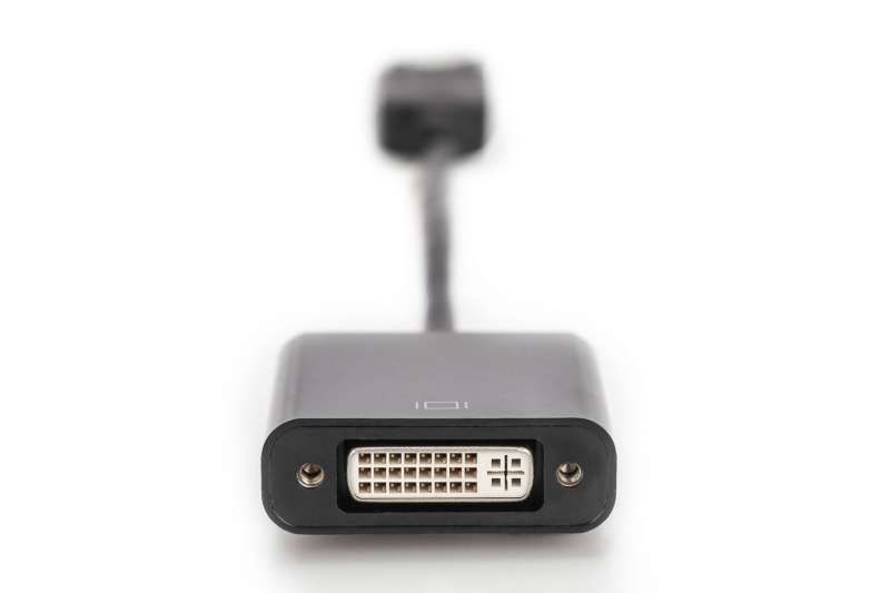 Assmann DisplayPort adapter cable, DP - DVI (24+5)