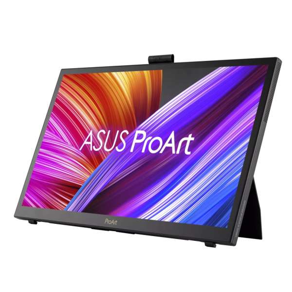 Asus 15,6" PA169CDV IPS LED Display