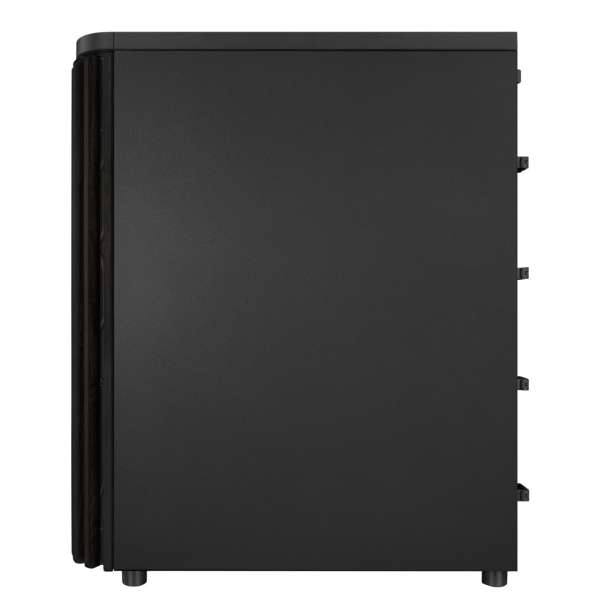 Asus ProArt PA401 Wood Edition Black