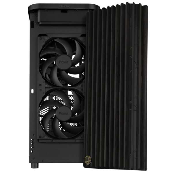 Asus ProArt PA401 Wood Edition Black