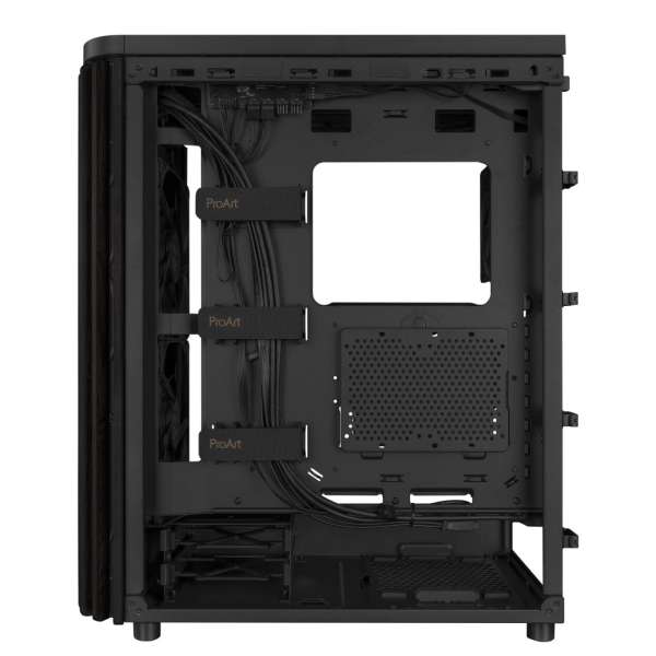 Asus ProArt PA401 Wood Edition Tempered Glass Black