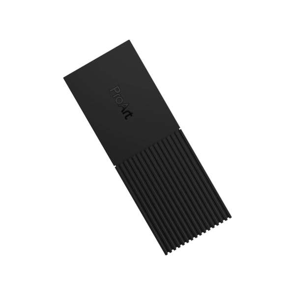 Asus ProArt PA40SU SSD Enclosure