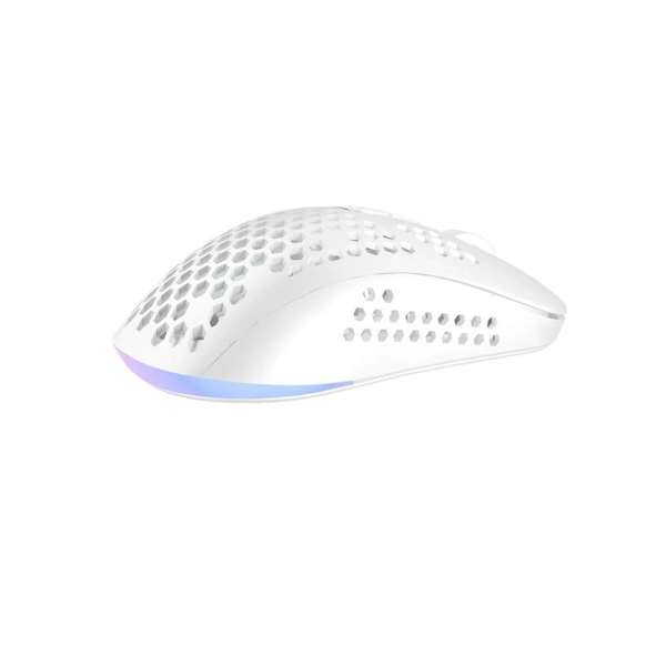 Avax LW01 PAW3327 RGB Gamer Mouse White