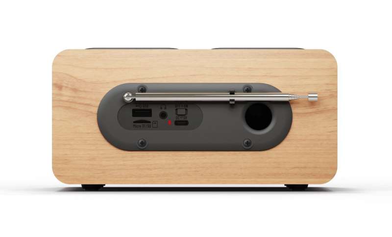 Blaupunkt DR10CR Portable Radio Wood