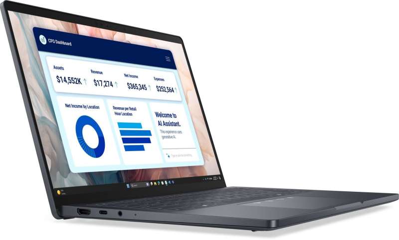 Dell Pro 14 Plus Black