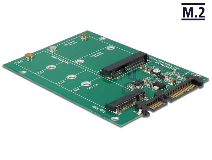 DeLock Converter SATA 22 pin > 1x M.2 + 1x mSATA