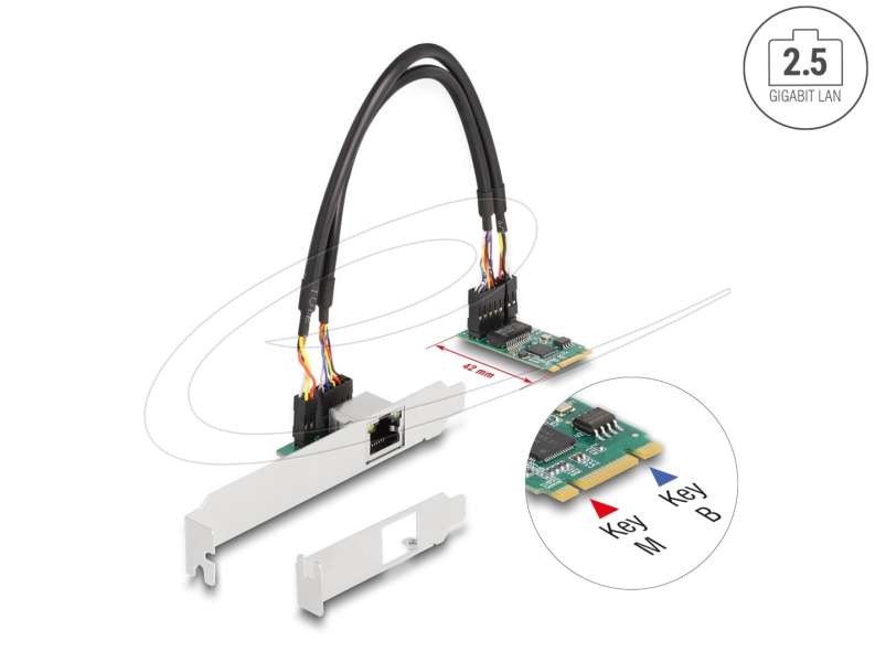 DeLock M.2 Key B+M 1 x RJ45 2,5 Gigabit LAN