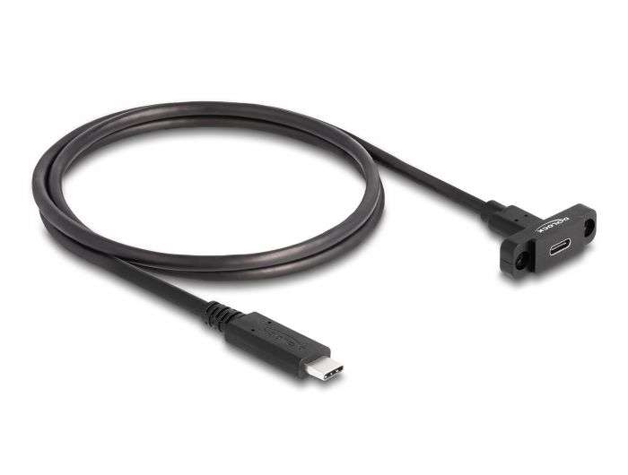 DeLock SuperSpeed USB 10 Gbps (USB 3.2 Gen 2) Cable USB Type-C male to female 1m panel-mount Black