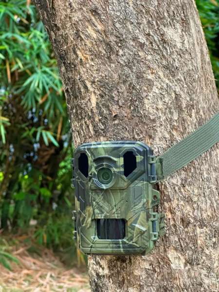 Denver WCS-5023 Digital wildlife mini camera