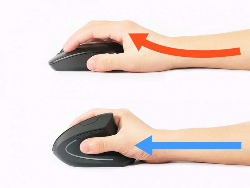 EQuip Ergonomic Wireless Mouse Black