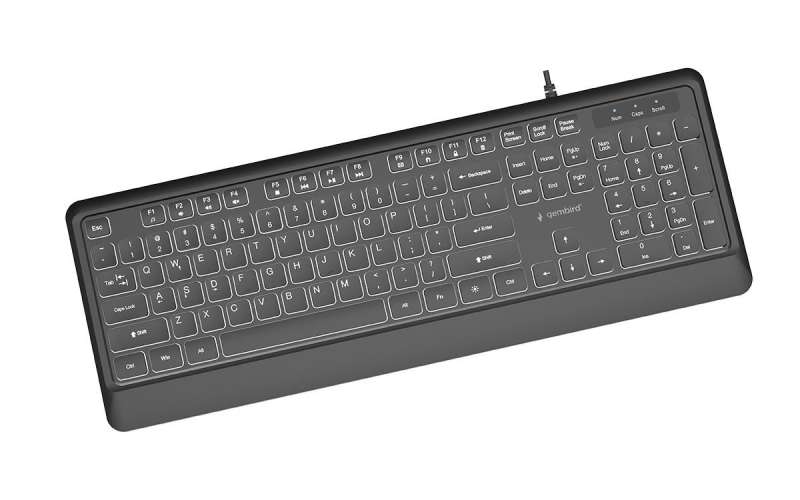 Gembird KB-UML-04 Slim Wired Backlight Keyboard Black US