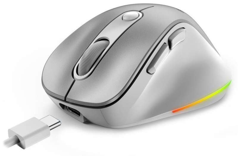 Genius Ergo 9000S Pro Wireless mouse Silver