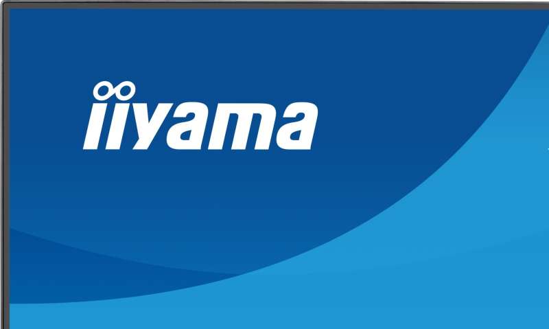 iiyama 23,8" ProLite X2493HSU-B1 IPS LED