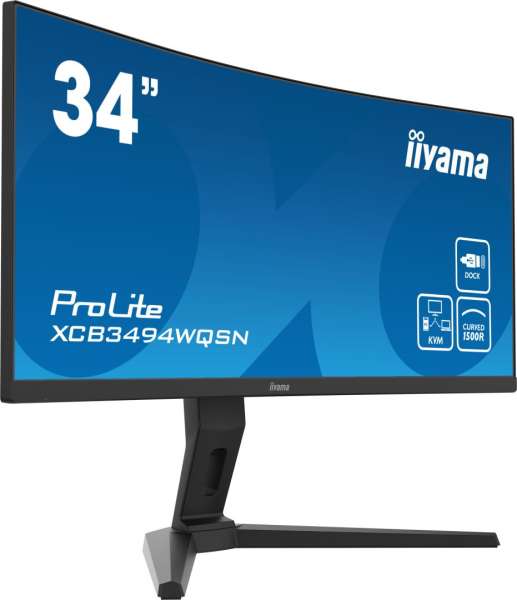 iiyama 34" ProLite XUB3493WQSU-B1 LED Curved