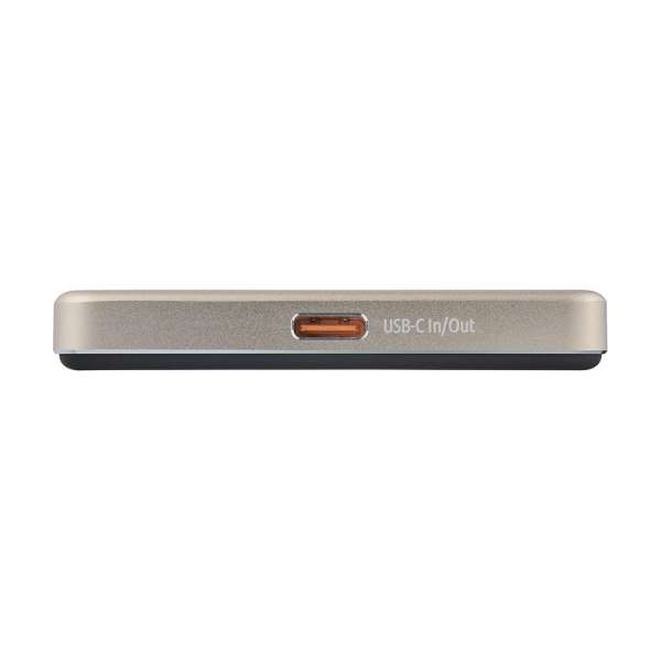 Intenso MW10000 10000mAh PowerBank Champagne