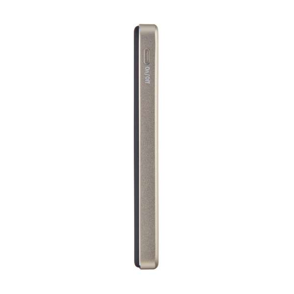 Intenso MW5000 5000mAh PowerBank Champagne