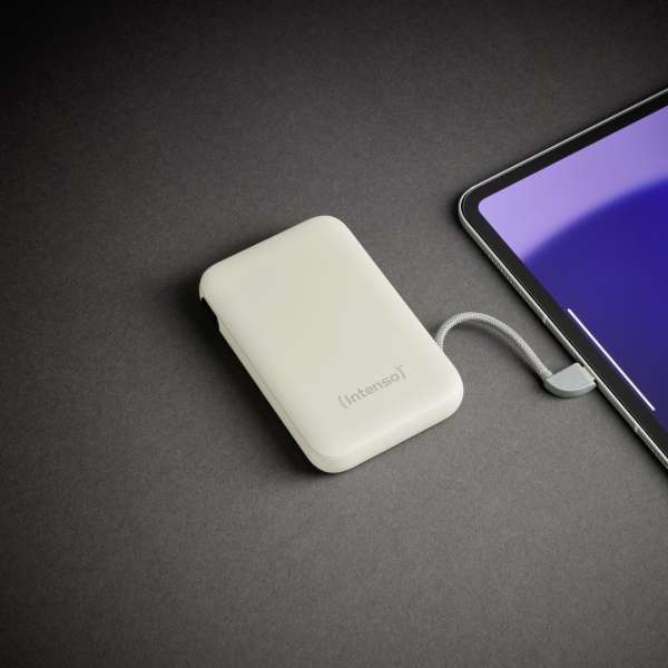 Intenso S10000 10000mAh + Integriertes USB-C PowerBank Beige