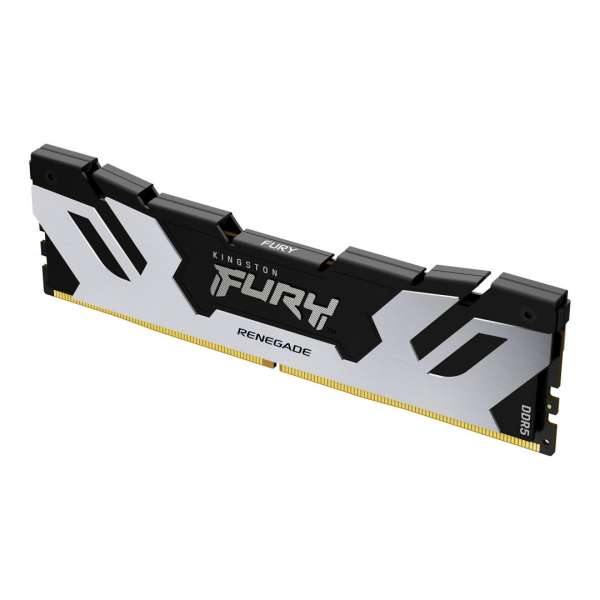 Kingston 24GB DDR5 8000MHz Fury Renegade Black/Silver