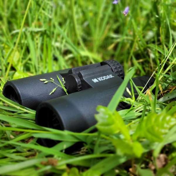 Kodak BCS600 Adult binoculars Black