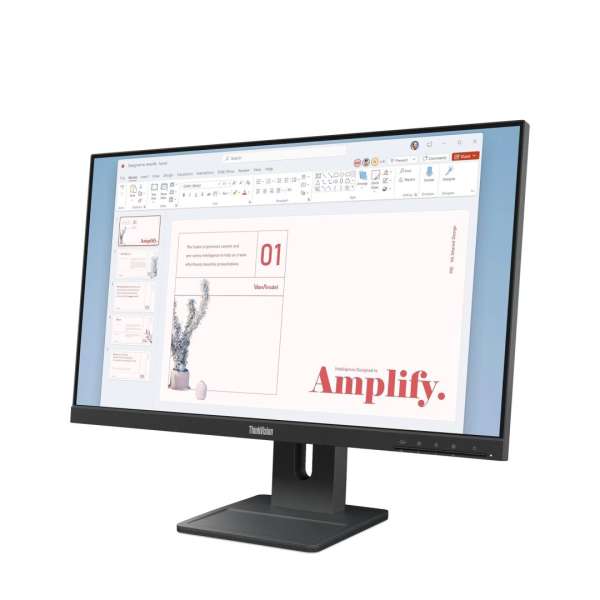 Lenovo 23,8" ThinkVision E24-40 IPS LED