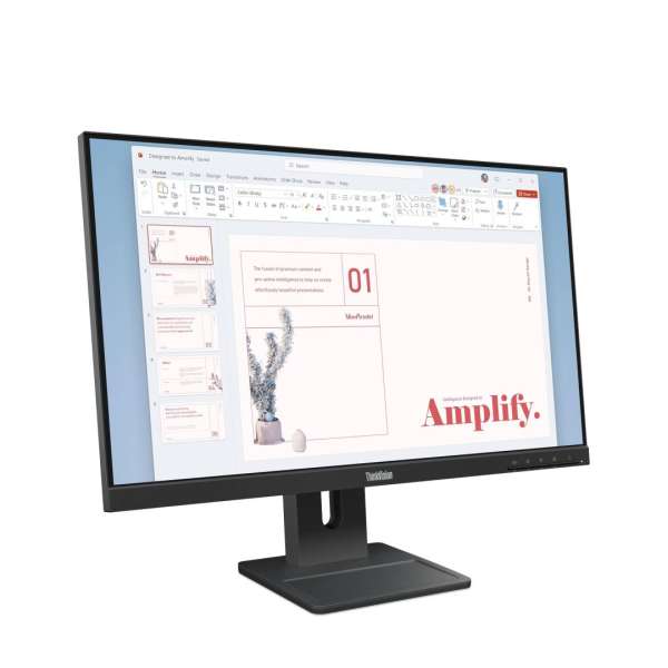 Lenovo 23,8" ThinkVision E24-40 IPS LED