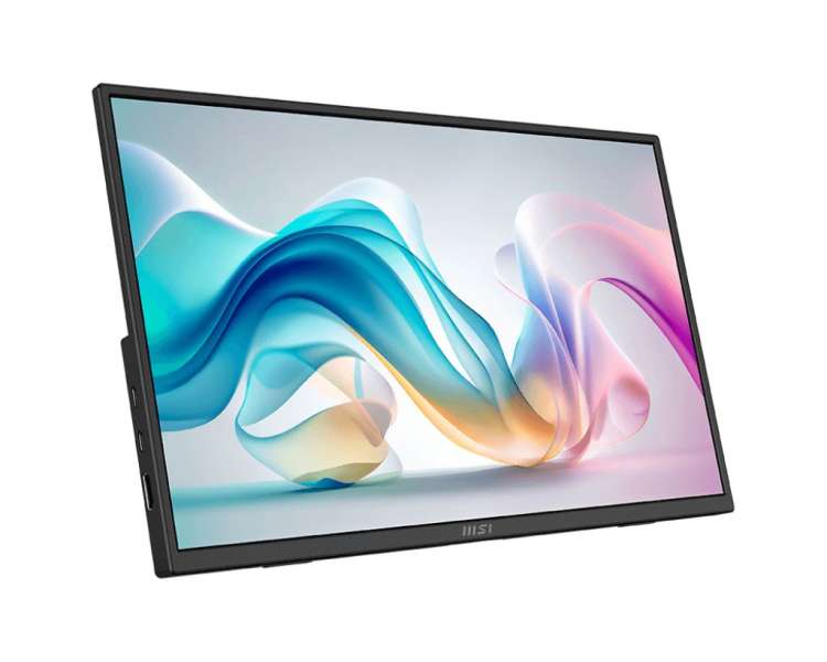 Msi 15,6" Pro MP165 E6 IPS LED