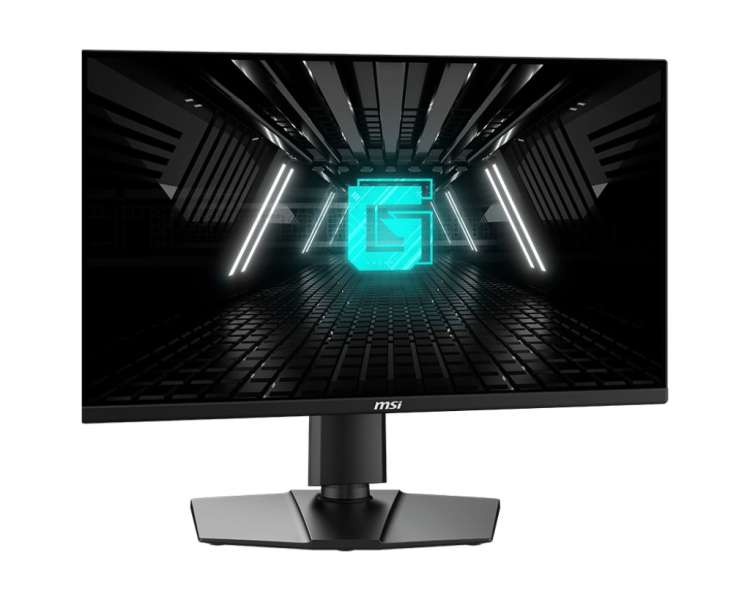 Msi 24,5" G255PF E2 IPS LED