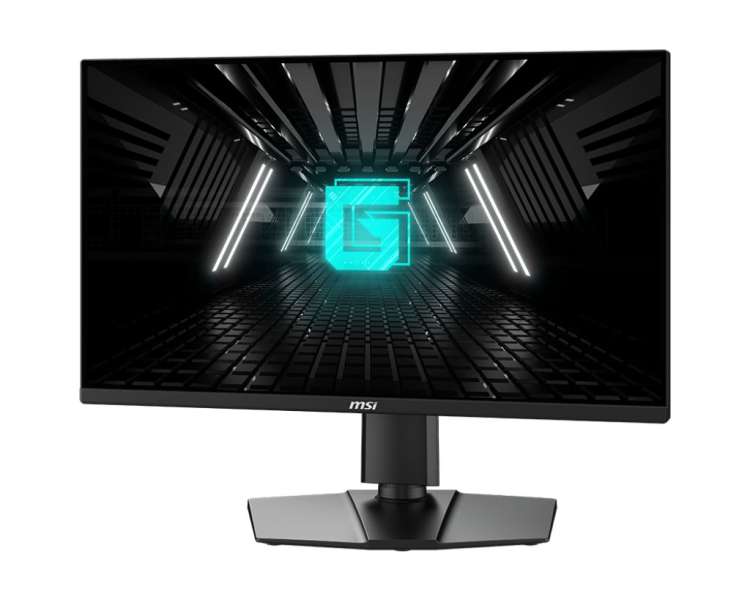 Msi 24,5" G255PF E2 IPS LED