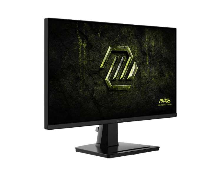 Msi 24,5" MAG 256F E20 IPS LED