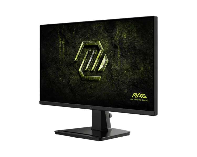 Msi 24,5" MAG 256F E20 IPS LED