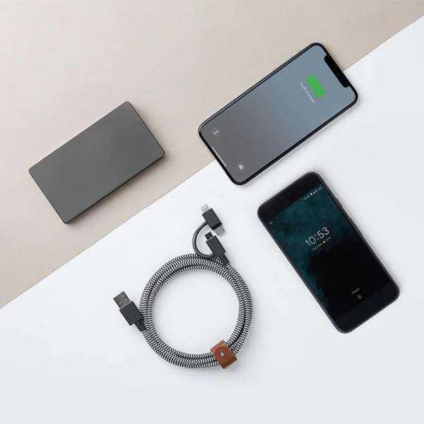 Native Union Belt Cable Universal USB-A to USB-C, Micro USB, Lightning 2m Zebra