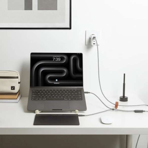 Native Union Belt USB-C to USB-C cable 2m Zebra