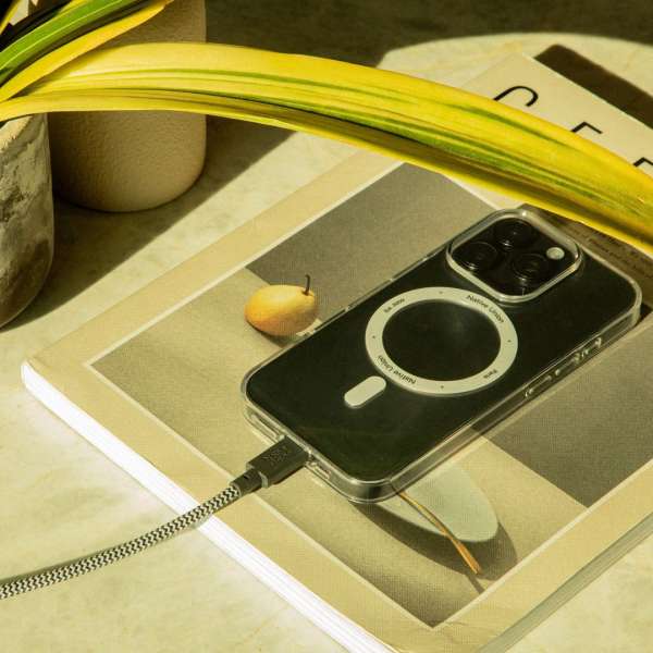 Native Union Belt XL USB-C to USB-C cable 3m Zebra