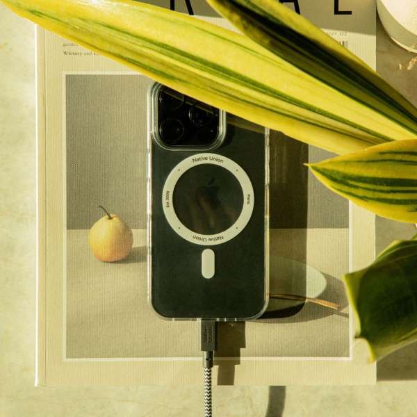 Native Union Belt XL USB-C to USB-C cable 3m Zebra