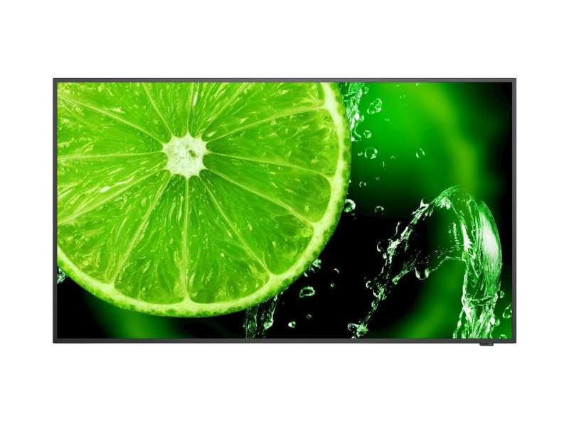 Nec 43" E438 IPS LED Display