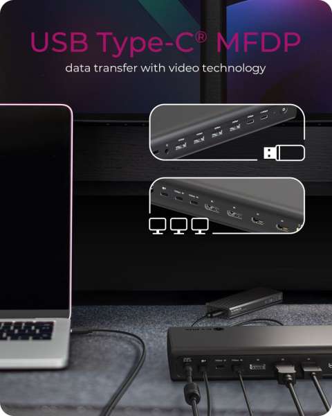 Raidsonic IcyBox IB-DK7401-CU31 17-in-1 Notebook DockingStation