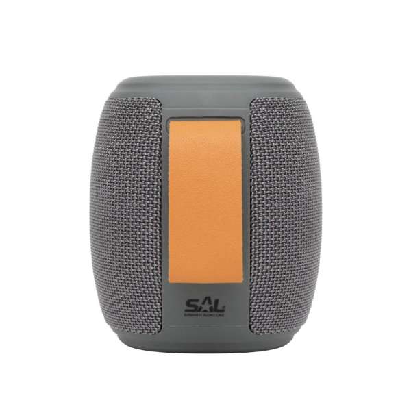 SAL BT 1000 BoomBox