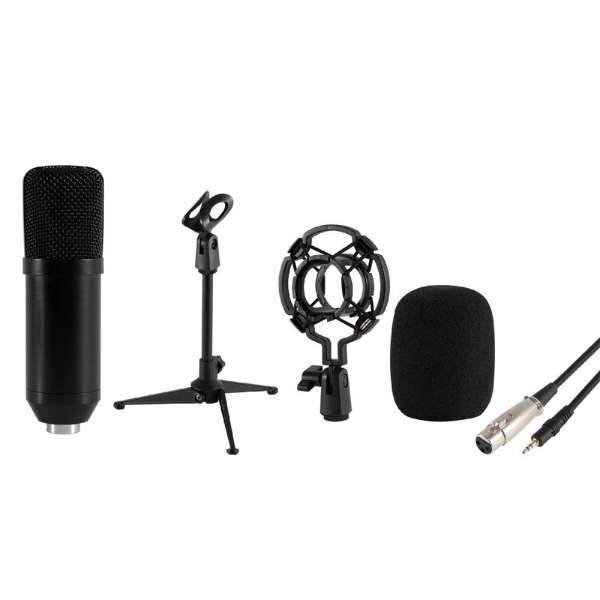 SAL M12 stúdió mikrofon szett és tripod