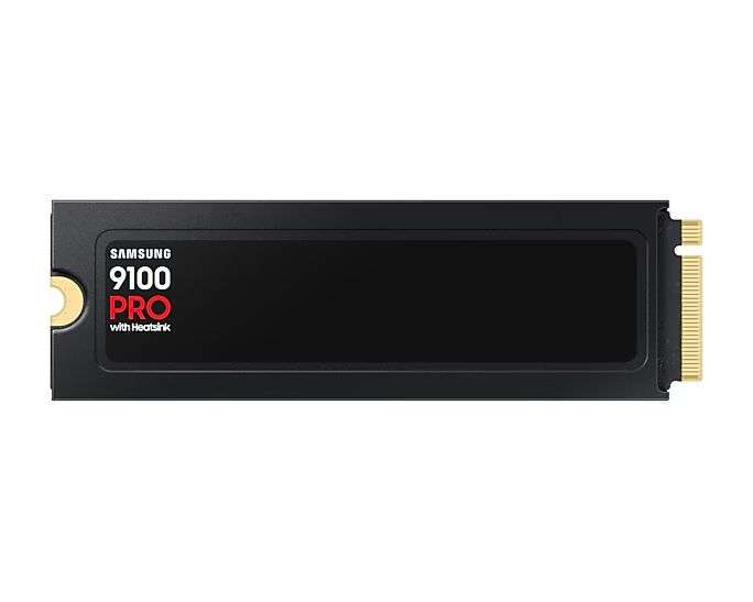 Samsung 1TB M.2 2280 NVMe 9100 Pro with Heatsink