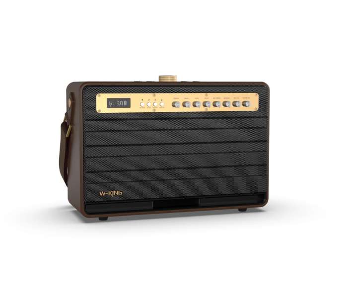 W-King K6L Bluetooth Speaker Brown