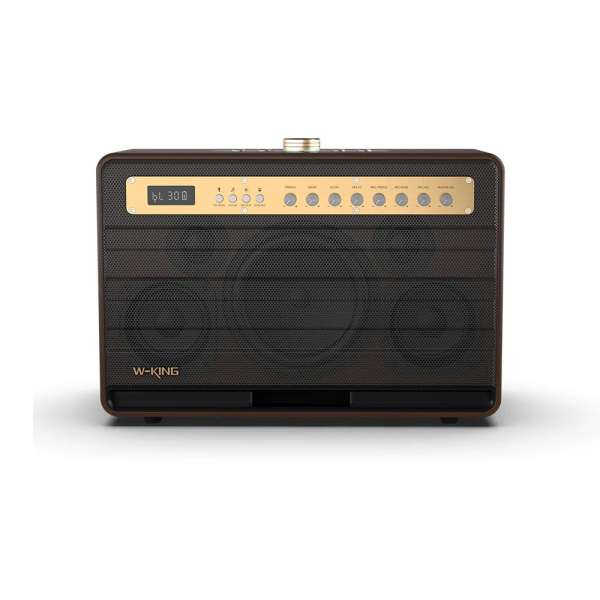 W-King K6L Bluetooth Speaker Brown