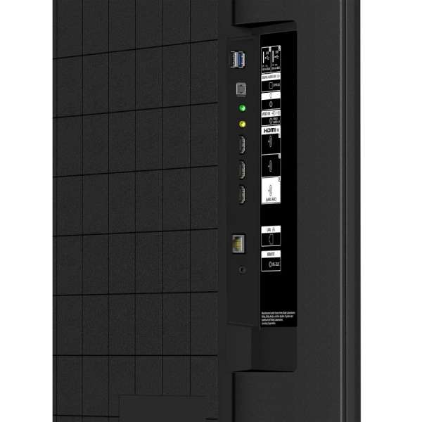 Sony 43" FW-43EZ20L IPS LED Display