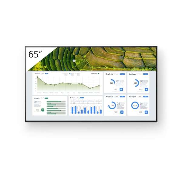 Sony 65" FW-65BZ30L IPS LED