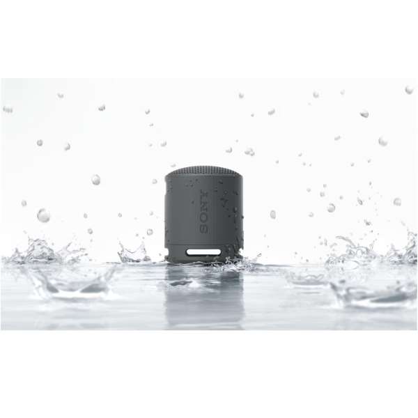 Sony SRSX-B100 Bluetooth Speaker Black