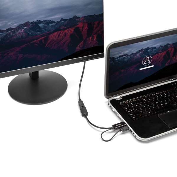 Startech HDMI to DisplayPort Adapter