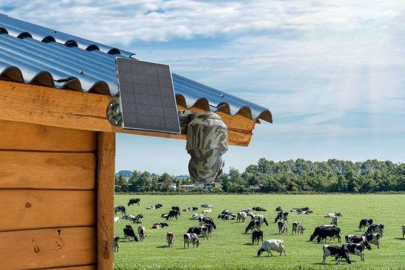 Technaxx TX-290 4G PT Dome with Solar Panel