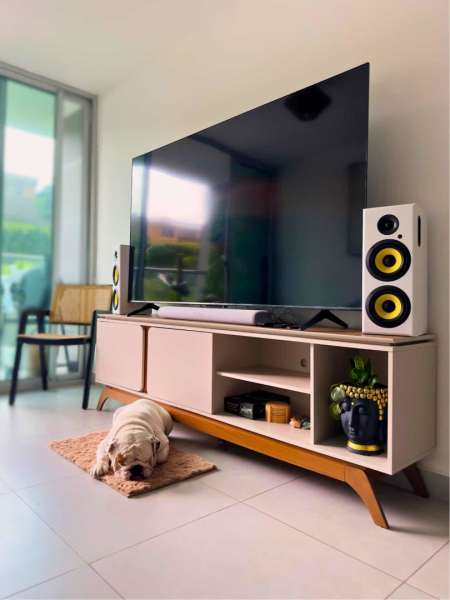 Thonet & Vander Hoch BT Gen2 2.0 Bluetooth White