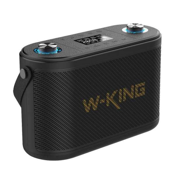 W-King H10 Bluetooth Speaker Black