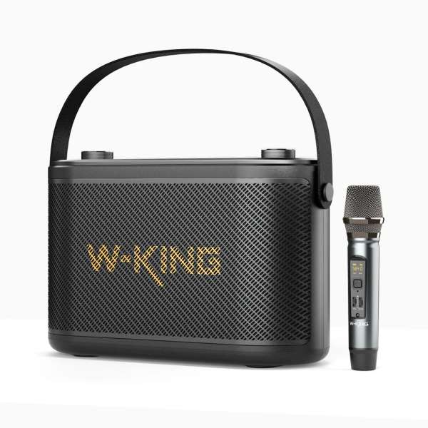 W-King H10s Bluetooth Speaker Black